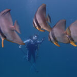 大雨の影響なく...透明度良好!!2024-6-20