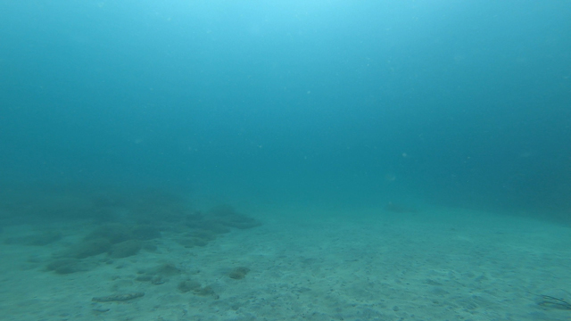 浅場が綺麗！！