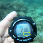 連日猛暑日( ﾟДﾟ)海が最高に気持ちー！！2024-7-7