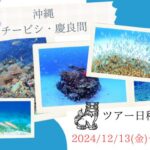 12月13日~12月15日ビックツアー!沖縄・慶良間諸島