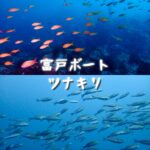 7月27日（日）富戸２ボートドリフトツアー！　満員御礼m(_ _)m