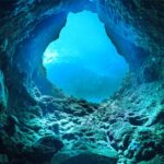 2月7日（土）ウミウシに洞窟！西伊豆・浮島ツアー参加者募集中