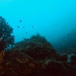 ※台風について今後の見通し ※2024-8-30