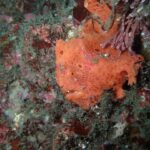 北東風には八幡野！！2024-9-27