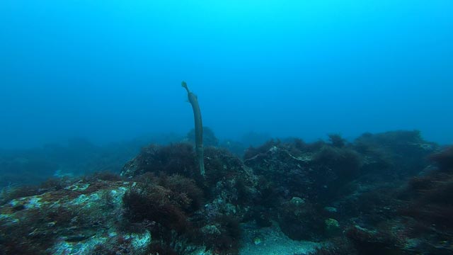 透明度最高！！