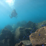 三連休最終日はダイビング日和でした!2024-11-4