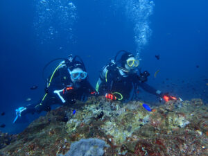 まだまだあったかい!2024-11-13