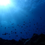 北風が収まらない~2024-11-21