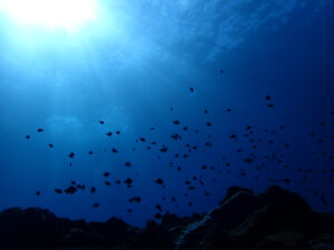 北風が収まらない～2024-11-21