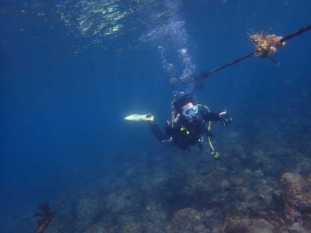 透明度も最高！