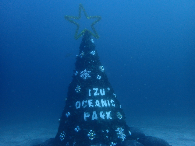 水中ツリー