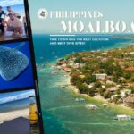 モアルボアルツアーに行ってきました！