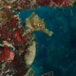 ホームが一番!川奈楽しい~2024-12-2