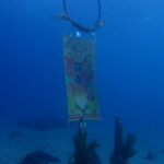 2024年も沢山のご来店ありがとうございました。