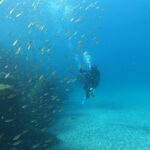 透明度20m!泳いでいるだけで気持ち~!!2025-1-7