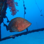 OWに続きステップアップでAOW！！2025-1-21