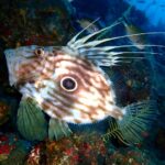 春の陽気にキラキラと青い海。最高でした(^^♪。2025-02-27