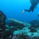 ２月も透明度絶好調の好スタート！2025-2-2