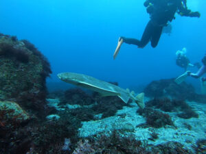 ２月も透明度絶好調の好スタート！2025-2-2