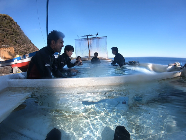 富戸名物温泉丸