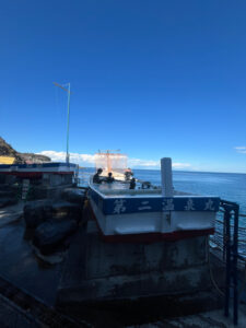 富戸でドライＳＰ！青い海にテトラ探検もしてきました！2025-3-17