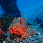 ドライが汗ばむ暖かさ!川奈2025-3-1