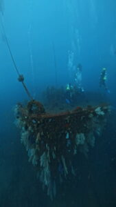 熱海ツアー第6弾！大盛況でした　2025-4-1