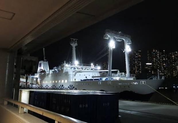 神津島までの大型船「さるびあ丸」