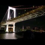 10/16(金)22:00東京竹芝発⭐︎さるびあ丸で行く！2泊3日伊豆七島「大島」ツアー！