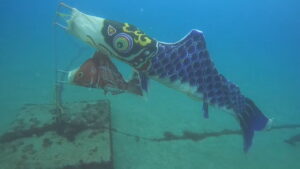 今年もGW期間中、たくさんのご来店ありがとうございました。2025-5-6