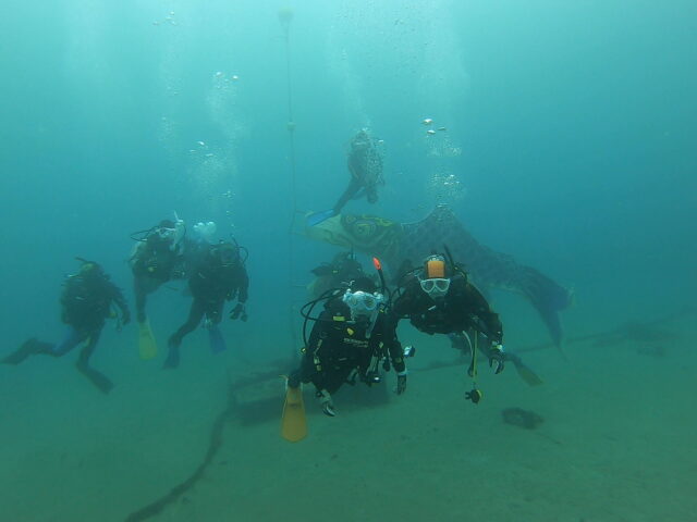 水中こいのぼり