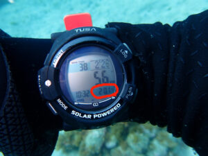 水温20℃超えた川奈ビーチ！2025-5-29