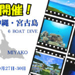 平日開催!10月27日〜30日。沖縄。宮古島6ボート付き3泊4日