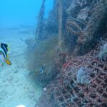 OW講習最終日でした!平沢ビーチ 2025-9-22