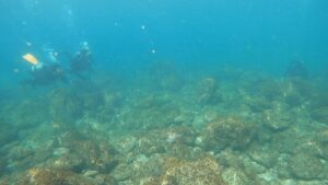 透明度goodやで！ただいま！川奈ビーチ2025-10-6