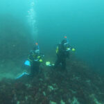 AOW講習で八幡野に行ってきました!2025-10-3