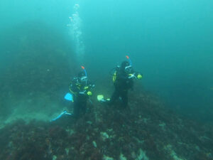 AOW講習で八幡野に行ってきました!2025-10-3