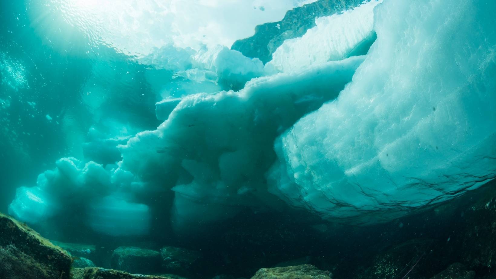 2026/03/6-8 北海道・知床ウトロ流氷ダイビングツアー