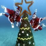 12月20日（土）サンタコスで潜る？伊豆海洋公園でクリスマスツアー！参加者募集中！