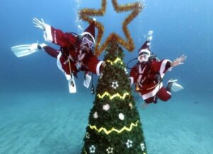 12月20日(土)サンタコスで潜る?伊豆海洋公園でクリスマスツアー!参加者募集中!