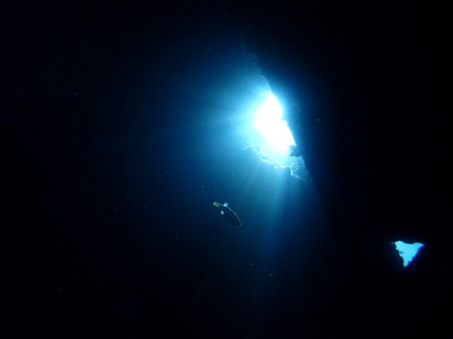 テトラポットの下から