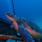 川奈で潜り納め！2025-12-31