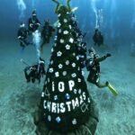 クリスマスIOP＆菖蒲沢ツアー！2025-12-22