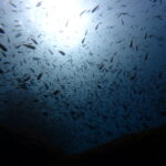 今年も残すところ１ヶ月になりました！2025-12-1