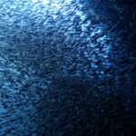 雲見ツアーに行ってきました！2025-12-13