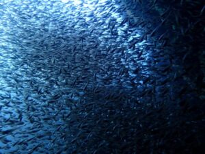 雲見ツアーに行ってきました！2025-12-13