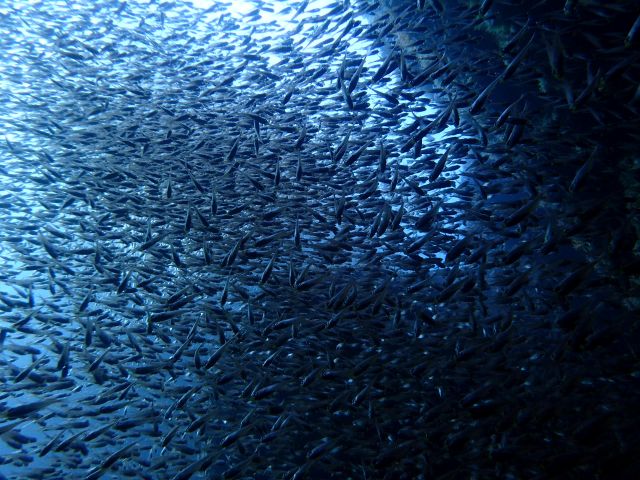 雲見ツアーに行ってきました!2025-12-13