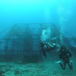 初島ツアー行ってきました！2025-12-27