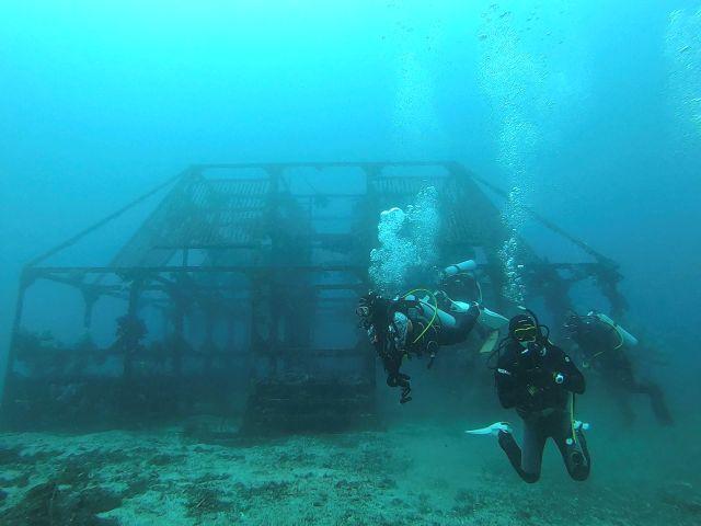 初島ツアー行ってきました！2025-12-27