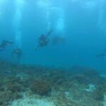 ドライスーツで冬も快適ダイビング！in川奈ビーチ2025-12-6